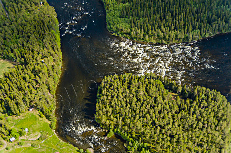 Kvissleströmmen i Indalsälven drönarbilder, drönarfoto, flygbild, flygbilder, Flygfoto, flygfoton, Indalsälven, Jämtland, Kvissleströmmen, Kvitsle, sommar, sportfiske, älvar
