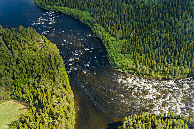 Kvissleströmmen i Indalsälven drönarbilder, drönarfoto, flygbild, flygbilder, Flygfoto, flygfoton, Indalsälven, Jämtland, Kvissleströmmen, Kvitsle, sommar, sportfiske, älvar