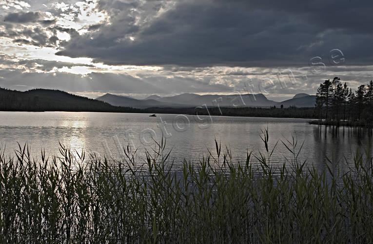 Kvällsljus mot Lunndörrsfjällen dramatik, himmel, Jämtland, kväll, Landskap, ljus, sjö, sjöfart, sommar, vass, vatten, Åvikberget