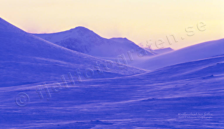 Kvällsrodnad över fjällen canvastavla, fjäll, fjällandskap, fjällmassiv, Fototavla, Jämtland, Landskap, snö, snövidder, stämning, stämningsbild, stämningsbilder, tavla, vidder, vildmark, vinter, årstid, årstider, öde