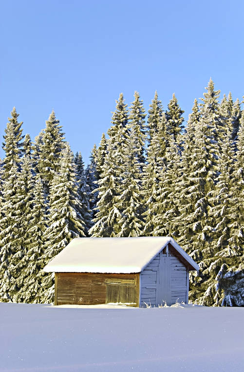 granskog, julkort, julstmning, lada, lappland, natur, skog, sn, sntyngd, stmning, stmningsbild, stmningsbilder, vinter, rstid, rstider
