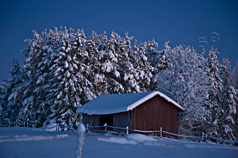 granar, julstmning, natt, sntyngda, stmning, stmningsbild, stmningsbilder, vinter, vinternatt, rstid, rstider