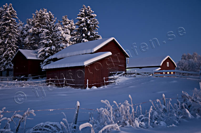 granar, julstmning, natt, sntyngda, stmning, stmningsbild, stmningsbilder, vinter, vinternatt, rstid, rstider