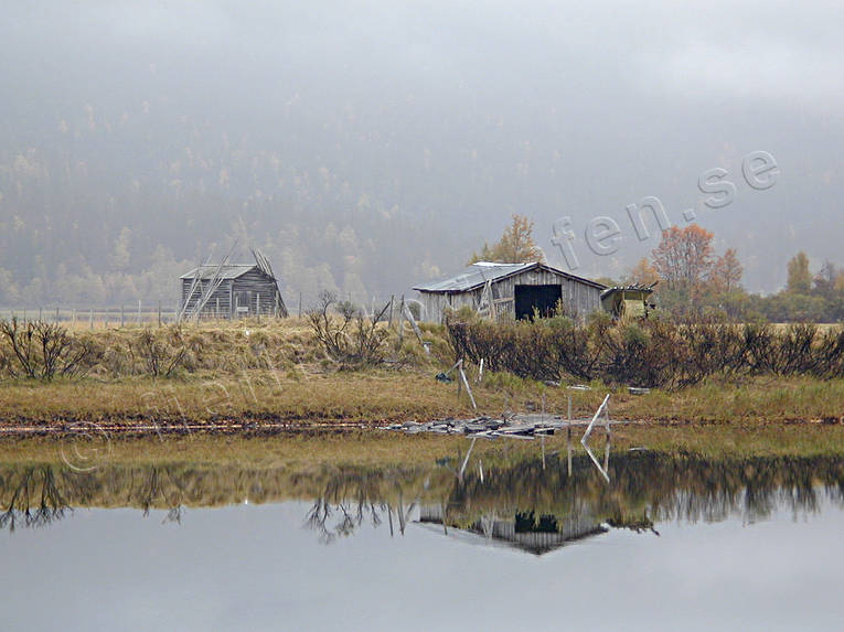 Lador vid Vindelälven Ammarnäs, dimma, gråväder, hölada, höst, lada, Landskap, lappland, myrslåtter