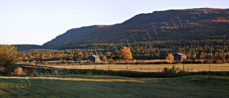Ammarns, hst, kvll, lador, Landskap, lappland, panorama, panoramabilder, Ribovardo