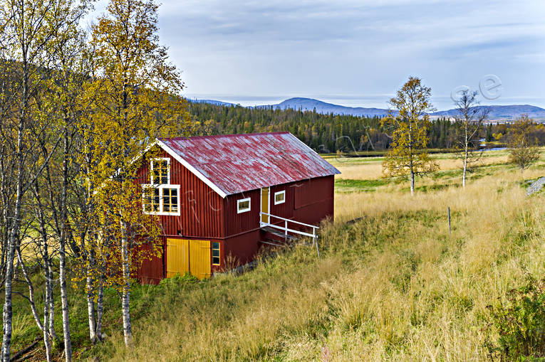Ladugård i fjällen anläggningar, byggnader, gårdar, hus, höst, Jämtland, ladugård, Landskap, myr