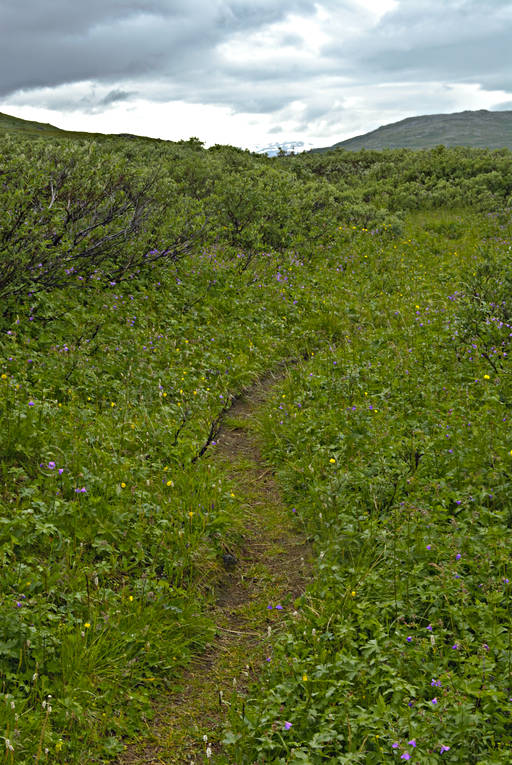 Led i Padjelanta fjälled, Landskap, lappland, led, nationalpark, Padjelanta, sommar, vandringsled