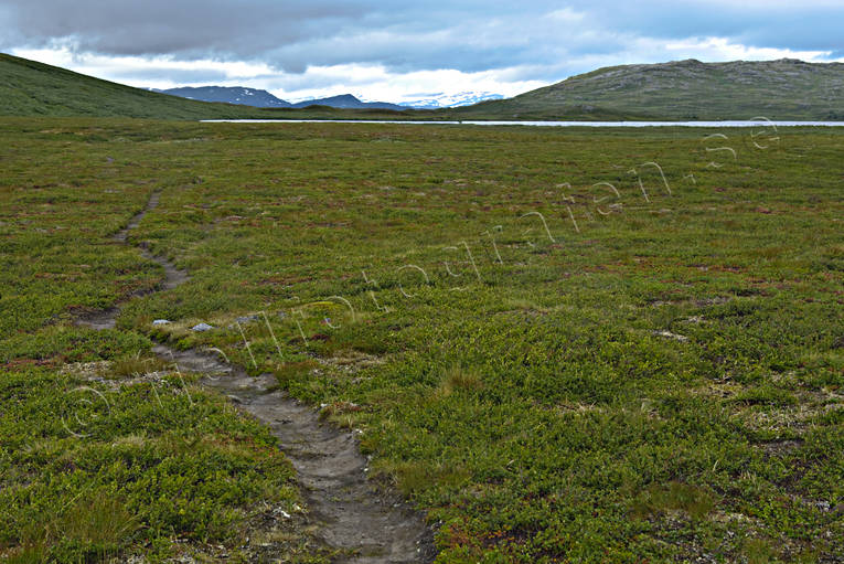 Led i Padjelanta fjälled, Landskap, lappland, led, nationalpark, Padjelanta, sommar, vandringsled