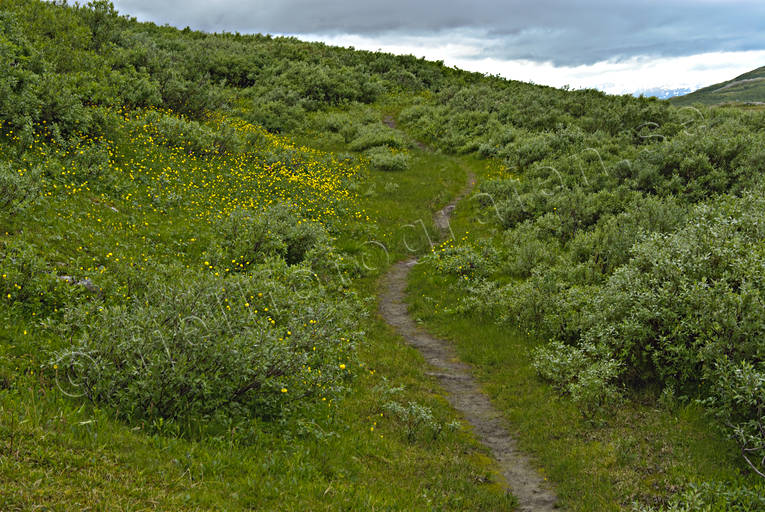 fjlled, fjllvandring, led, nationalpark, Padjelanta, sommar, vandringsled, ventyr