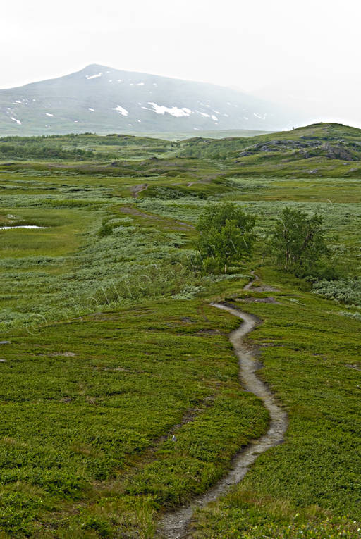 fjlled, Landskap, lappland, led, nationalpark, Padjelanta, sommar, vandringsled