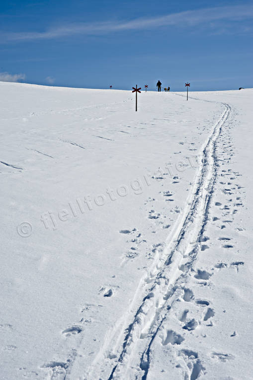Led mot Sododalen fjäll, fjällen, Härjedalen, Landskap, led, ledkryss, nationalpark, nationalparker, skidspår, skidåkare, skidåkning, Sododalen, Sonfjället, turåkning, vinter