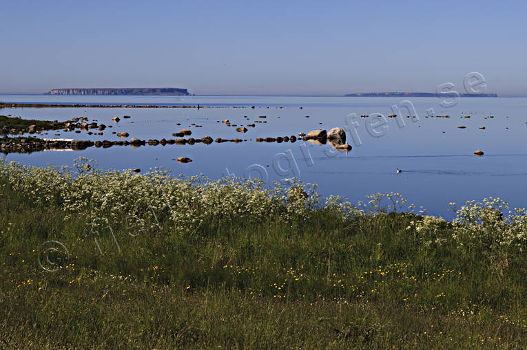 Gotland, hav, havet, havsstrand, Landskap, Lilla Karls, natur, sommar, Stora Karls, strand, ar