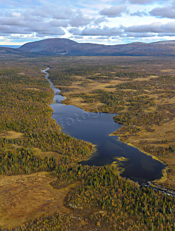 Lillhon i Storån drönarbilder, drönarfoto, flygbild, flygbilder, Flygfoto, flygfoton, höst, Jämtland, Llillhon, Storån, älvar