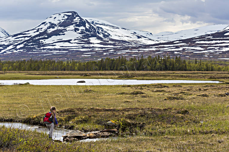 barn, fjllandskap, fjllvandra, fjllvandrare, fjllvandring, flicka, friluftsliv, Jmtland, Landskap, myr, myrmark, natur, Snasahgarna, Snasamassivet, sommar, sommarfjll, Storsflon, tvrklumpen, uteliv
