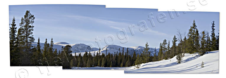 fjll, fjllskog, fjllvy, Jmtland, Landskap, Lundrrsfjllen, panorama, panoramabilder, sn, Tosssen, vinter