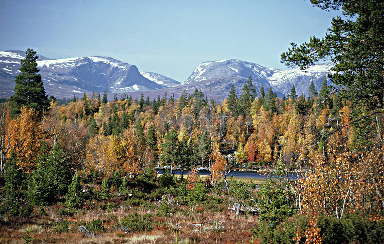 fjll, hst, hstfrger, Jmtland, Landskap, Lunndrrsfjllen, Tosssen