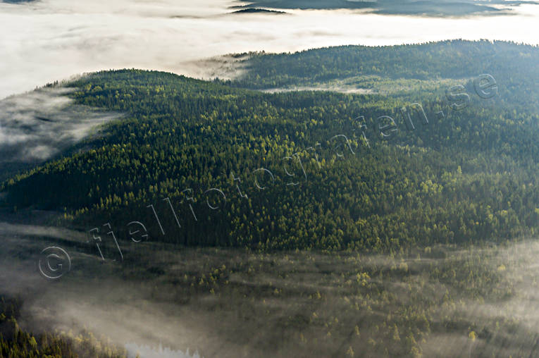 Låga moln över skog dimma, drönarbilder, drönarfoto, flygbild, flygbilder, Flygfoto, flygfoton, Jämtland, Landskap, moln, skog, sommar