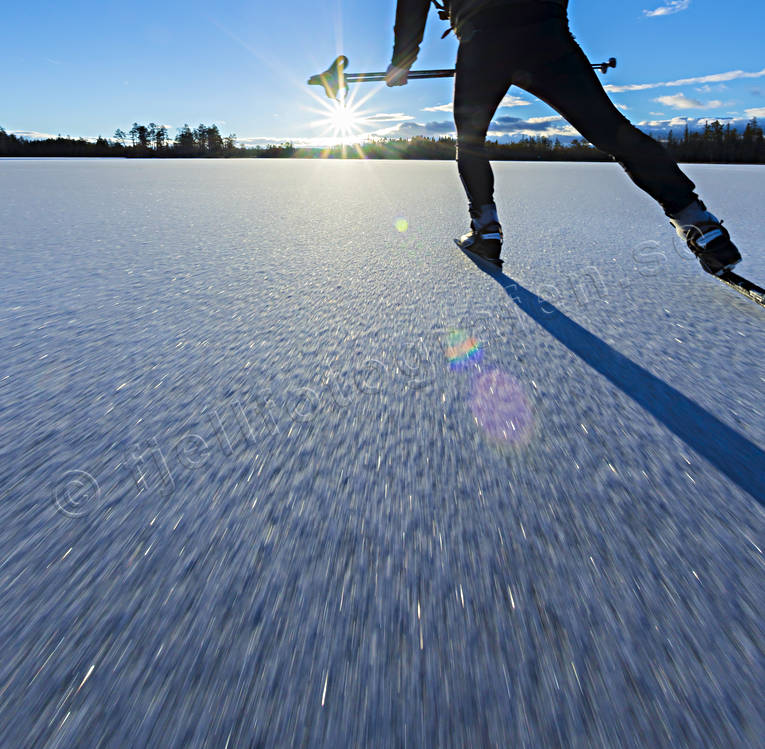 Långfärdsskridsko på pudrad is. långfärdsskridsko, novemberis, nyis, skridsko, skridskoåkare, skridskoåkning, Svartsjöarna, vinter, vintersport, äventyr
