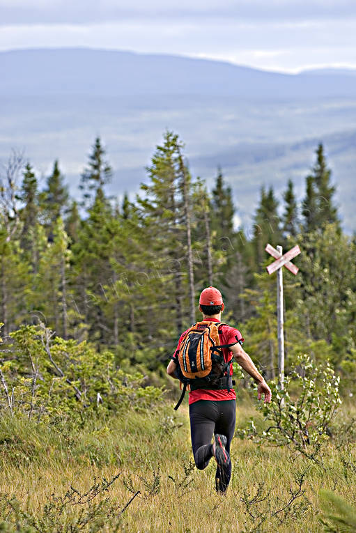 Löpare på fjället diverse, fjäll, jogg, ledkors, löpare, löpning, myr, sommar, sport, springa