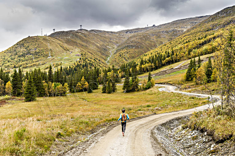 Löpare Åreskutan fjäll, friluftsliv, grusväg, höst, höstfärger, Jämtland, Landskap, löpare, sport, träning, Åre, Åreskutan, årstider