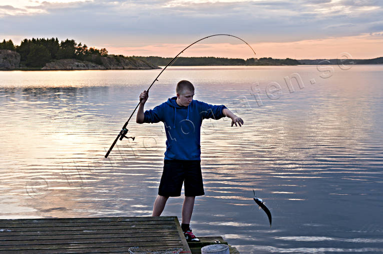 Bohusln, haspel, hav, kust, Lngekrr, makrill, natur, sommar, sportfiske, rstider