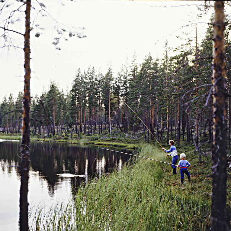 Mamma och pojke metar fiske, metar, mete, skogstjärn, sportfiske