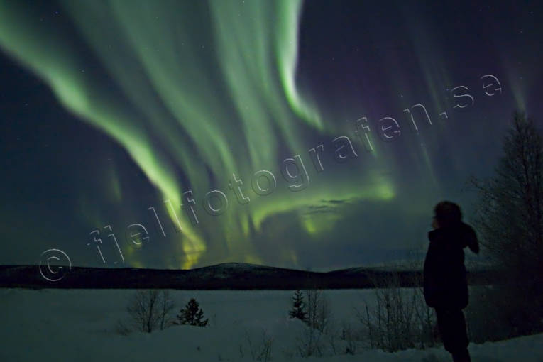 himmel, natur, norrsken, polarnatt, polarsken, vinter, rstid, rstider
