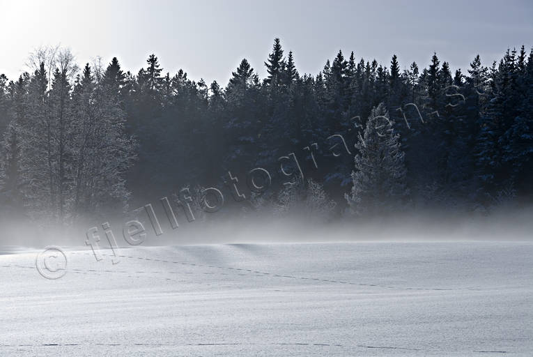 dimma, frostdimma, kallt, kyla, markdimma, midvinter, sn, vinter, rstid, rstider