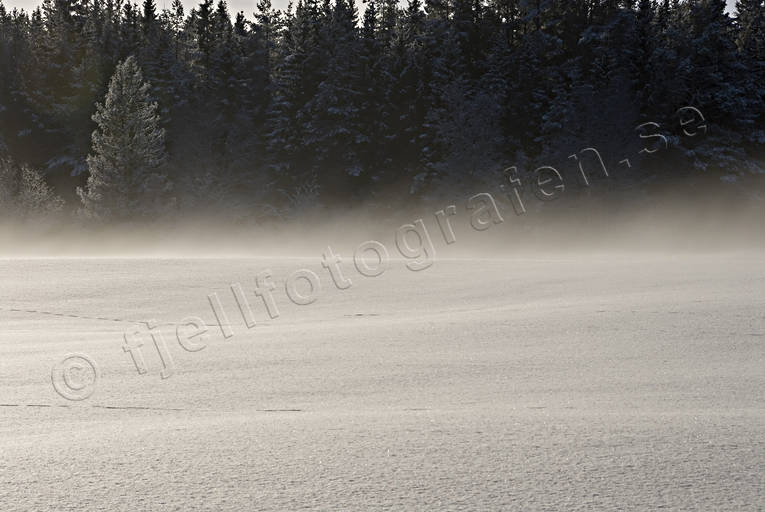 dimma, frostdimma, kallt, kyla, markdimma, midvinter, sn, vinter, rstid, rstider