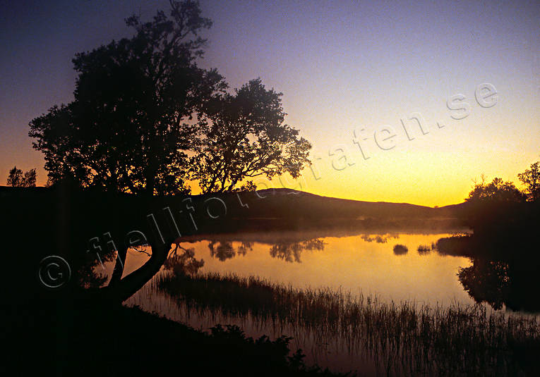 Jmtland, midnatt, natur, sommar, stmning, stmningsbild, tjrn, rstid, rstider