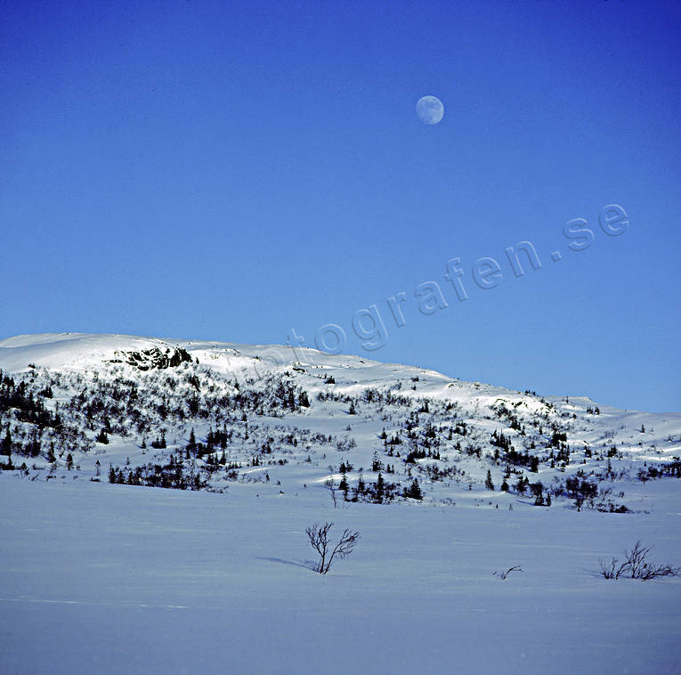 fjll, fjllen, Gurpe, Jmtland, kvll, Landskap, mne, mnsken, Ssjfjllen, vinter