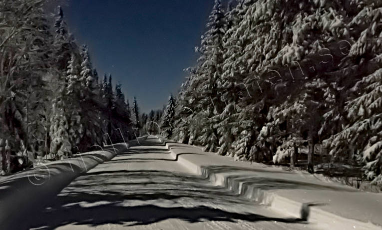 Landskap, mnljust, mnsken, natt, nattbild, skog, stmning, stmningsbild, stmningsbilder, supermne, vinter, vintervg, rstid, rstider