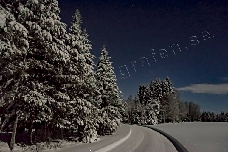 Landskap, mnljust, mnsken, natt, nattbild, skog, stmning, stmningsbild, stmningsbilder, supermne, vinter, vintervg, rstid, rstider