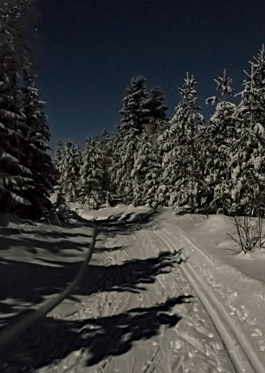 mnljust, mnsken, mnskugga, natt, nattbild, skidspr, skog, stmning, stmningsbild, stmningsbilder, supermne, vinter, rstid, rstider