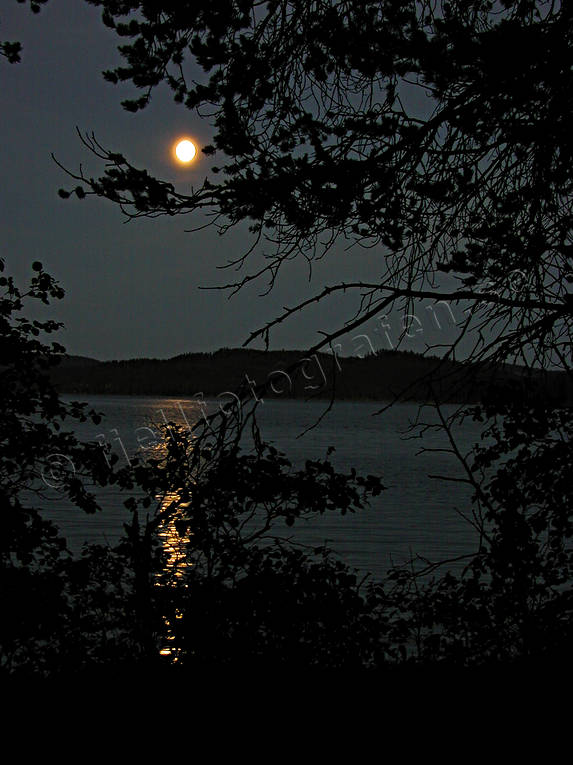 midnatt, mne, mnsken, natt, Pn, sommar, stmning, stmningsbild, stmningsbilder, vildmark, rstid, rstider, demark