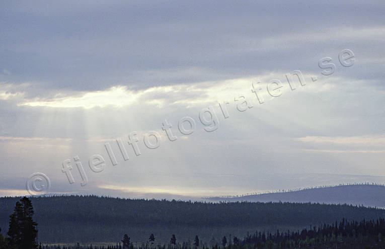 himmel, Jmtland, Landskap, ljus, moln, molntcke, skog, sol, sommar