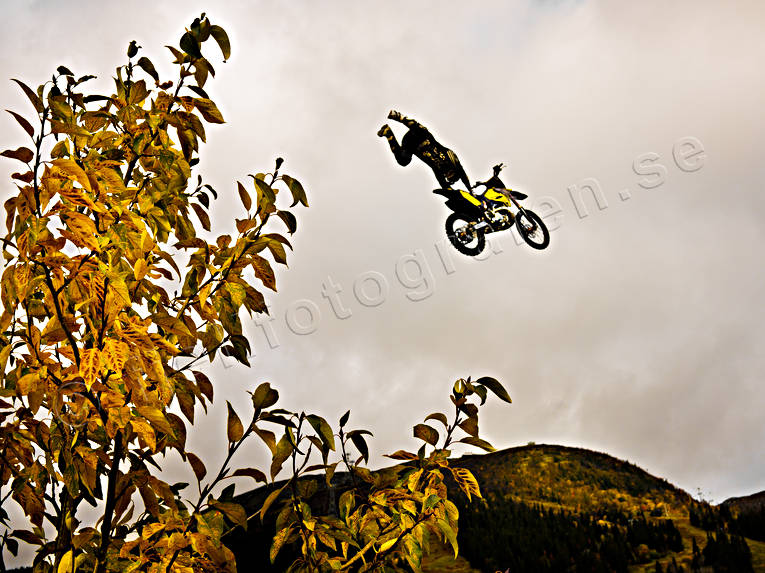 hopp, hst, motor, motorcykel, rstider, ventyr