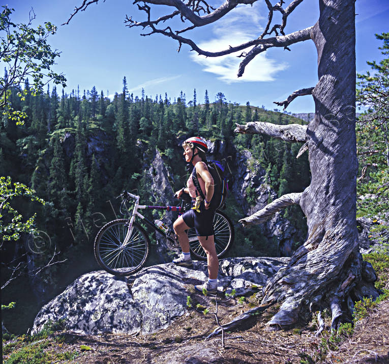cykel, cyklar, cykling, cyklist, fjll, fjllandskap, fjllcykling, fjllnatur, friluftsliv, Jmtland, Landskap, mountainbike, sommar, sommarfjll, sport, terrngcykel, torraka, uteliv, rstid, rstider