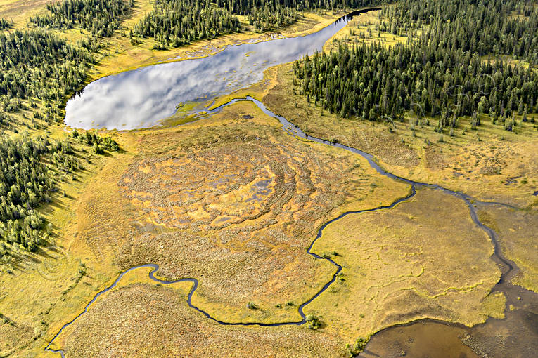 Myr vid Grundtjärnen drönarbild, drönarbilder, drönarfoto, flygbild, flygbilder, Flygfoto, flygfoton, Grundtjärnen, höst, Jämtland, Landskap, myr, myrmark, natur, Rängestjärnen