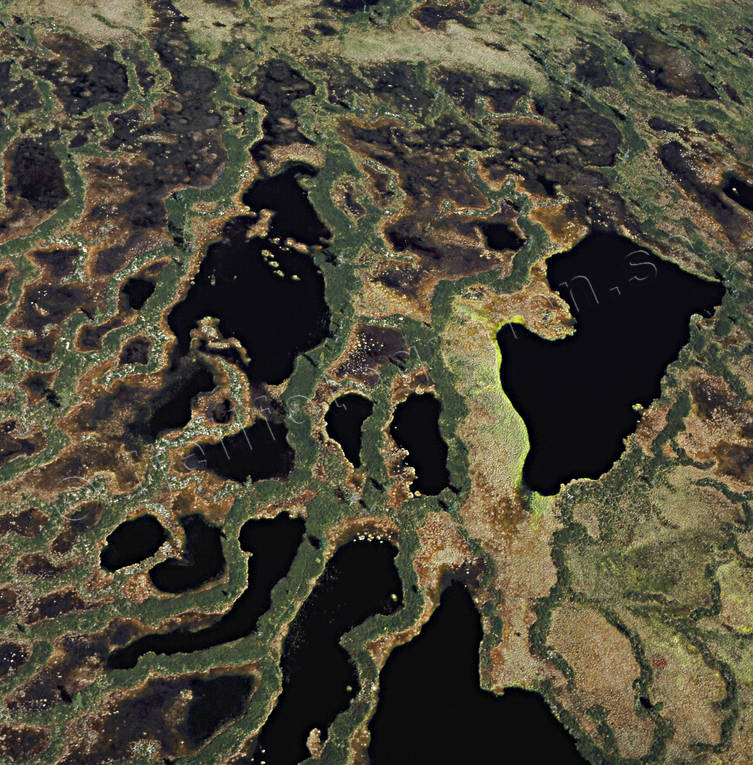 biotop, biotoper, drnarbilder, drnarfoto, flygbild, flygbilder, Flygfoto, flygfoton, mosaik, mosse, myr, myrar, myrlandskap, myrmark, myrmarker, natur, vtmark, vtmarker
