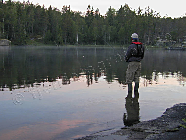 Nattfiske i Forsån fiske, Forsån, mete, nattfiske, spinnfiske, sportfiske