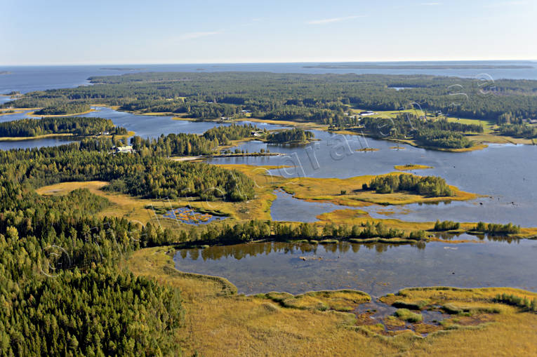 drnarbilder, drnarfoto, flygbild, flygbilder, Flygfoto, flygfoton, hst, Landskap, Norrbotten