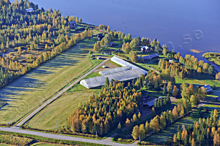 anlggningar, drnarbilder, drnarfoto, flygbild, flygbilder, Flygfoto, flygfoton, grdar, hst, Norrbotten
