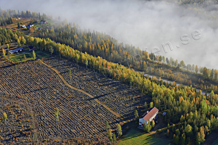 Norrbotten Sweden drönarbilder, drönarfoto, flygbild, flygbilder, Flygfoto, flygfoton, höst, Norrbotten, stugor