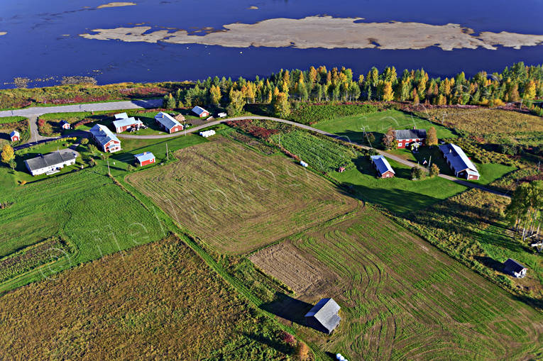 drnarbilder, drnarfoto, flygbild, flygbilder, Flygfoto, flygfoton, grdar, hst, Norrbotten