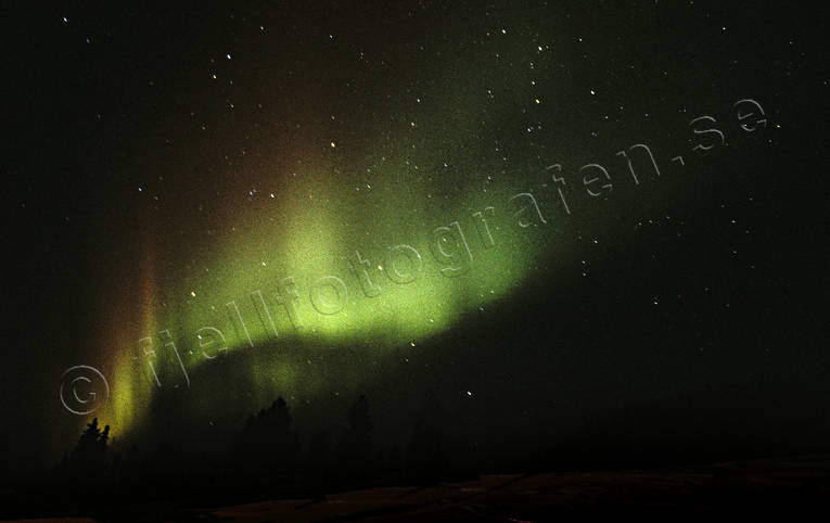 himmel, julkort, julstmning, natt, norrsken, stmning, stmningsbild, stmningsbilder, vinter, vinternatt, rstid, rstider