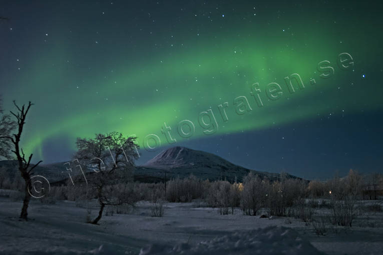 himmel, natur, Nikkaluokta, norrsken, polarnatt, polarsken, vinter, rstid, rstider