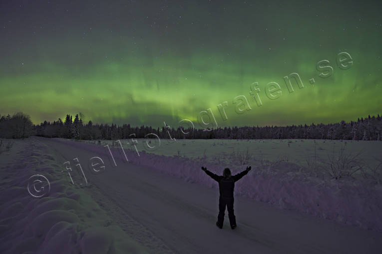 himmel, natur, norrsken, stjrnor, vinter, rstider