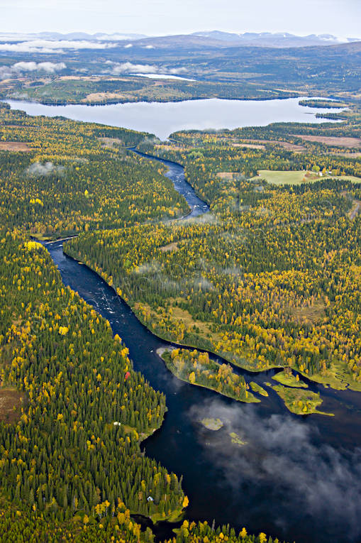 Norängesströmmen i Åreälven drönarbilder, drönarfoto, flygbild, flygbilder, Flygfoto, flygfoton, höst, Jämtland, Norängesströmmen, vattendrag, Åreälven, älvar