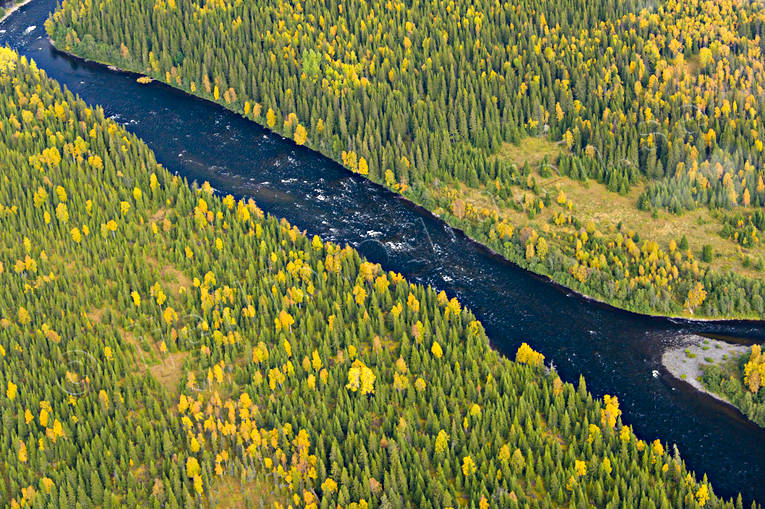 Norängesströmmen i Åreälven drönarbilder, drönarfoto, flygbild, flygbilder, Flygfoto, flygfoton, höst, Jämtland, Norängesströmmen, vattendrag, Åreälven, älvar